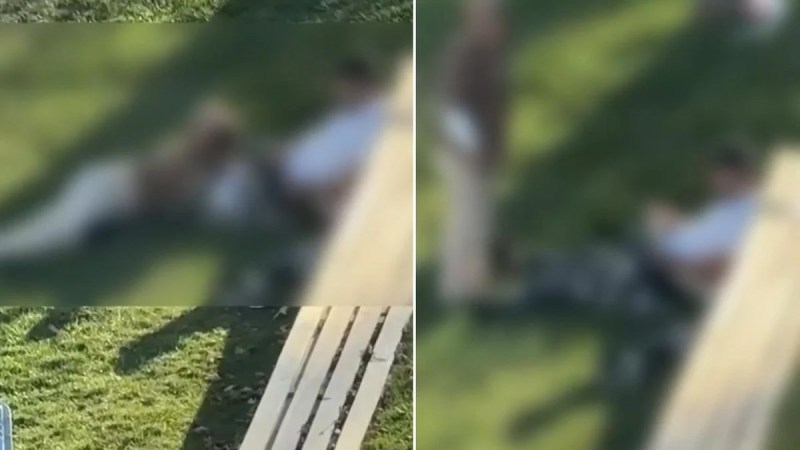 Parkta herkesin gözü önünde pes dedirten görüntüler