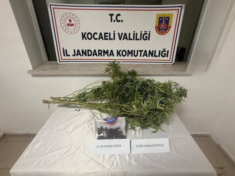 İzmit’te jandarmadan uyuşturucu operasyonu!