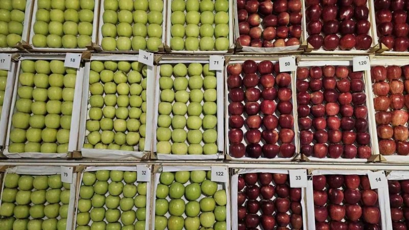 Gölcük’te festival coşkusu yaşandı