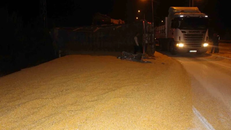 Tır devrildi 25 ton mısır yola saçıldı!