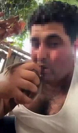 Kuşlara işkence edip sosyal medyada paylaştı! Tutuklandı