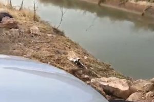 Su kanalına düşen araçta 6 kişi can verdi: 4’ü çocuk!