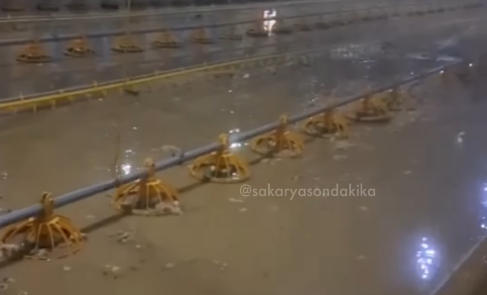 Çiftliği su bastı civcivler telef oldu!