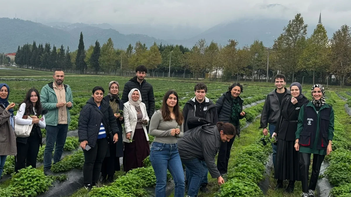 Üniversiteliler TABİP sahasında inceleme yaptı