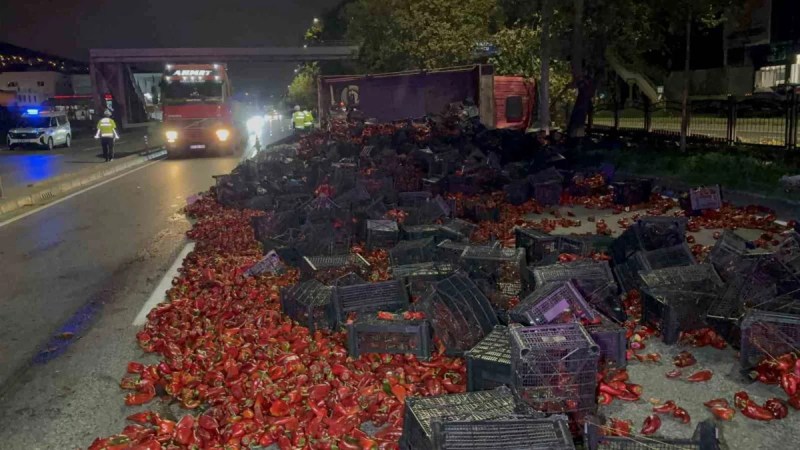 Biber yüklü kamyon refüje devrildi!
