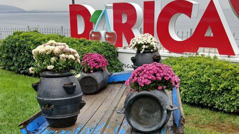 Darıca sokakları çiçeklerle donatıldı