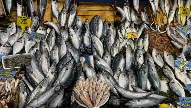 Kocaeli tezgahlarında balık bolluğu – fotoğraf 2