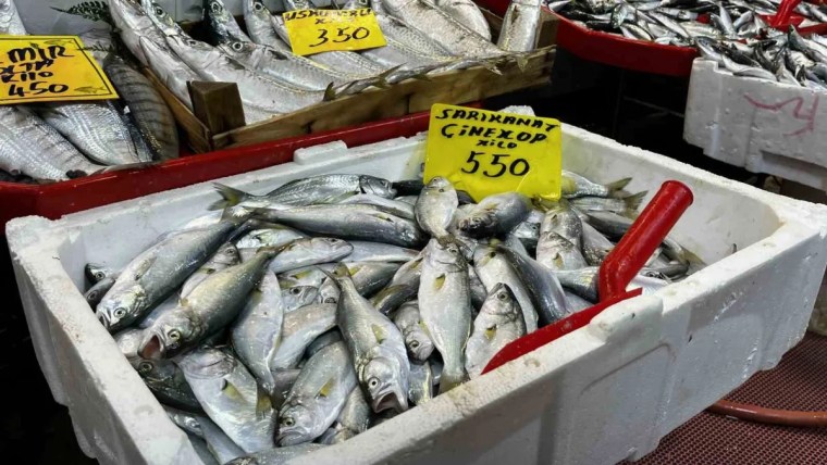 Kocaeli tezgahlarında balık bolluğu – fotoğraf 3